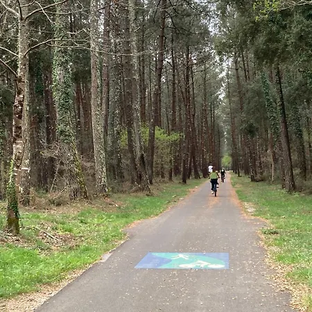 Au Coeur Des Landes