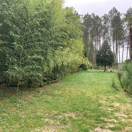 Au Coeur Des Landes